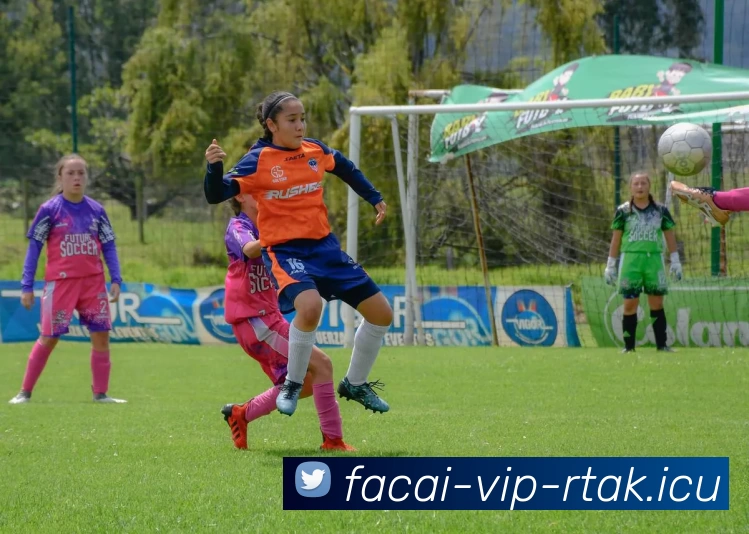 开云体育品牌故事