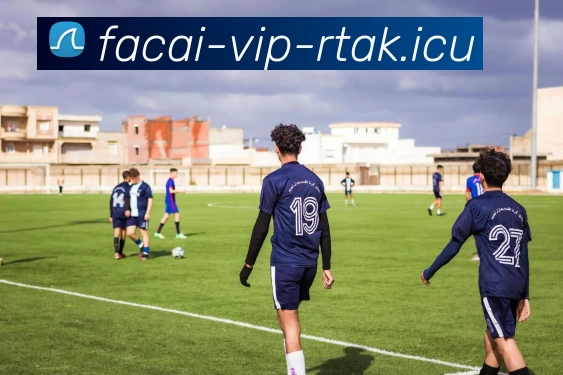 开云体育服务体系